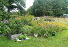 blomsterprakten