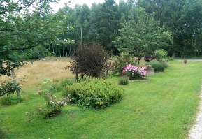 naturen